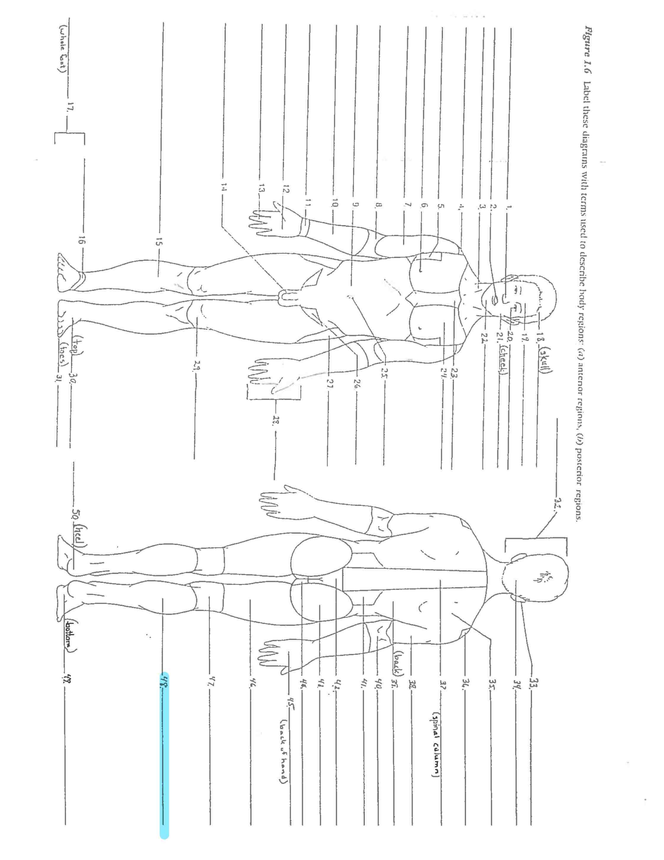 <p>Line 48 </p>