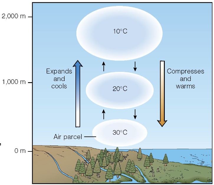 <ul><li><p>air that is lifted experiences a drop in pressure, allowing it to expand</p></li><li><p>expansion of air uses energy, so the air mass becomes cooler</p><ul><li><p>initially, it is warm</p></li></ul></li><li><p>as the air mass cools, water vapour condenses, the air mass becomes supersaturated n clouds form</p></li><li><p>as becomes warm again, goes down</p></li></ul>