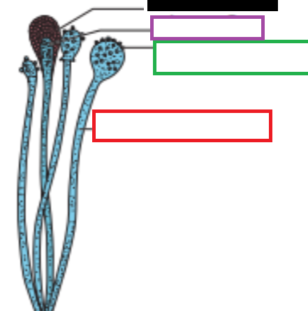 <p>What is the red box referring to? Function?</p>