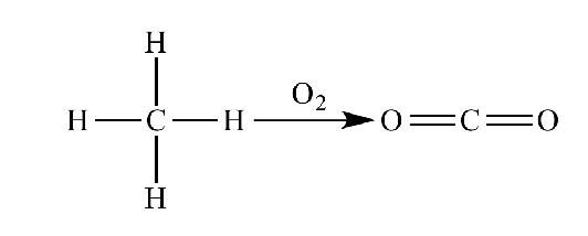 <p>- during catabolism, electrons are removed to become part of a bond with O</p><p>- This is oxidative metabolism - we need O2 to make enough ATP in our cells</p>