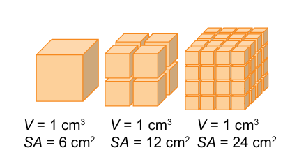 <p>particles available for reaction</p>