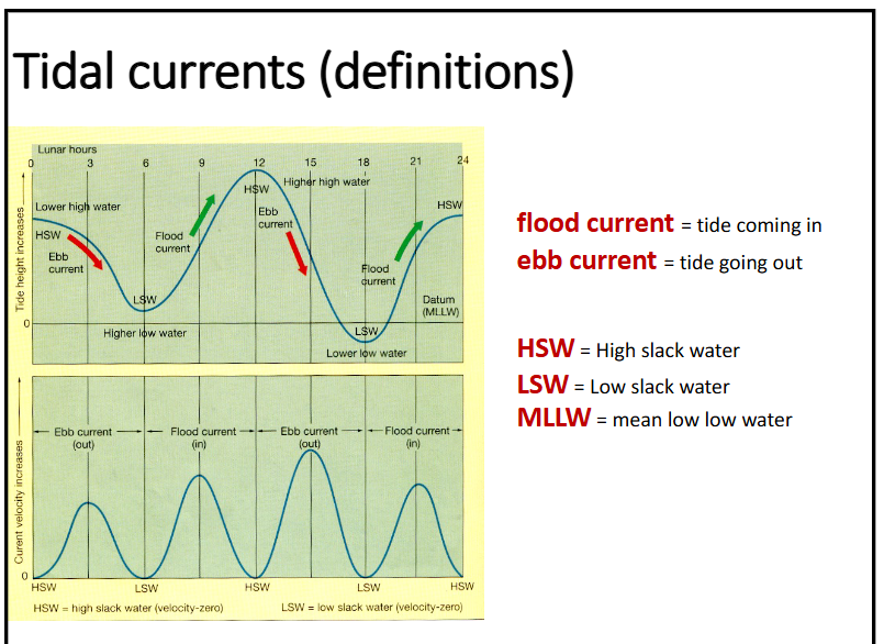 <p>flood current: tide coming in</p><p>ebb current: tide going out</p><p>HSW: high slack water</p><p>LSW: low slack water</p><p>MLLW: mean low low water</p>