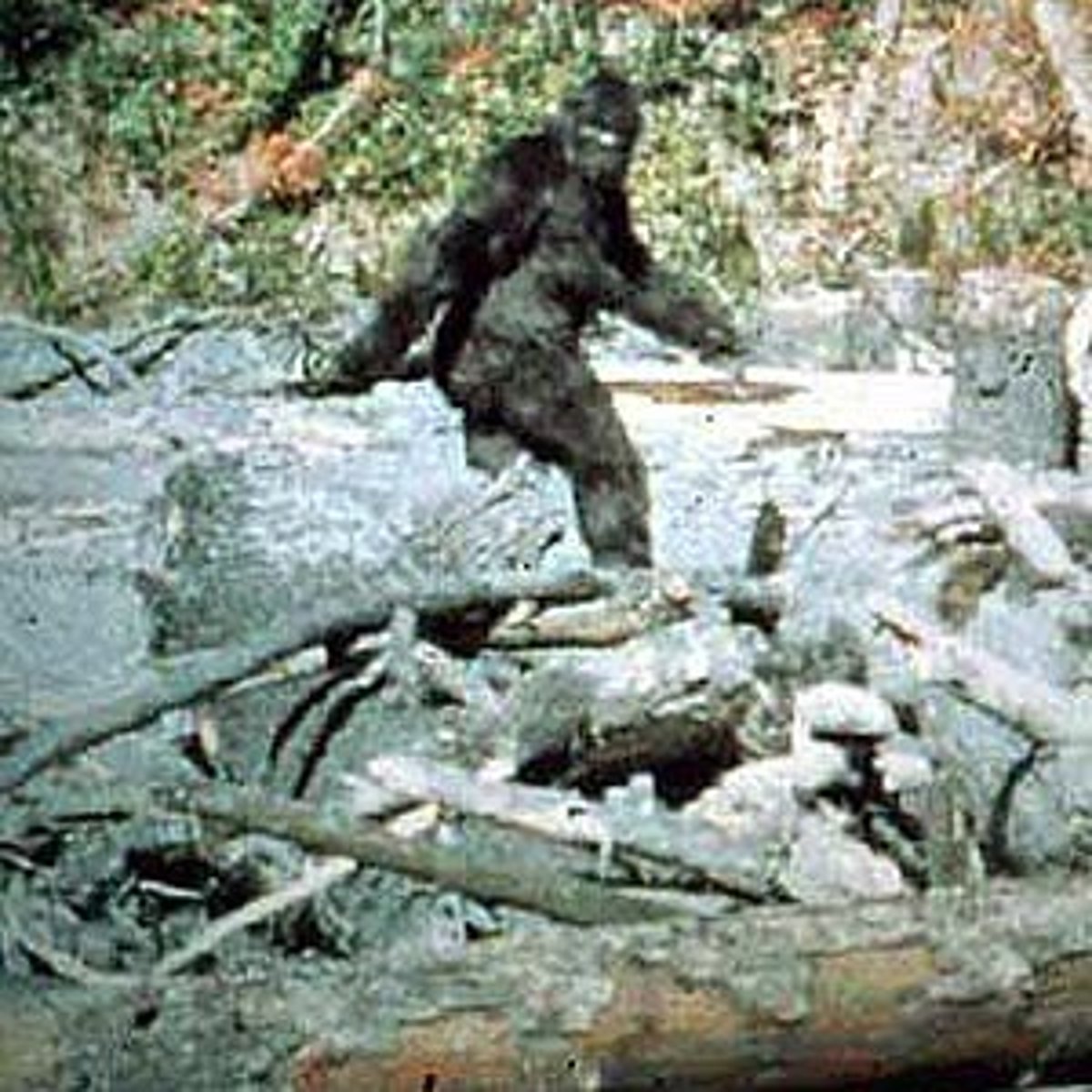 <p>difficult<span><strong> to </strong></span>describe<span><strong>, </strong></span>find<span><strong>, </strong></span>achieve<span><strong>, or </strong></span>remember</p>