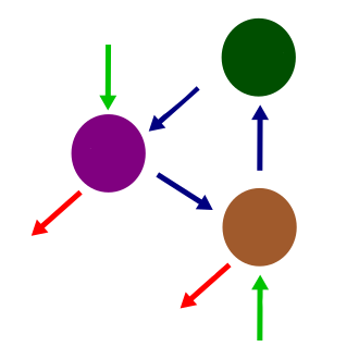 <p>The nutrient cycle</p>