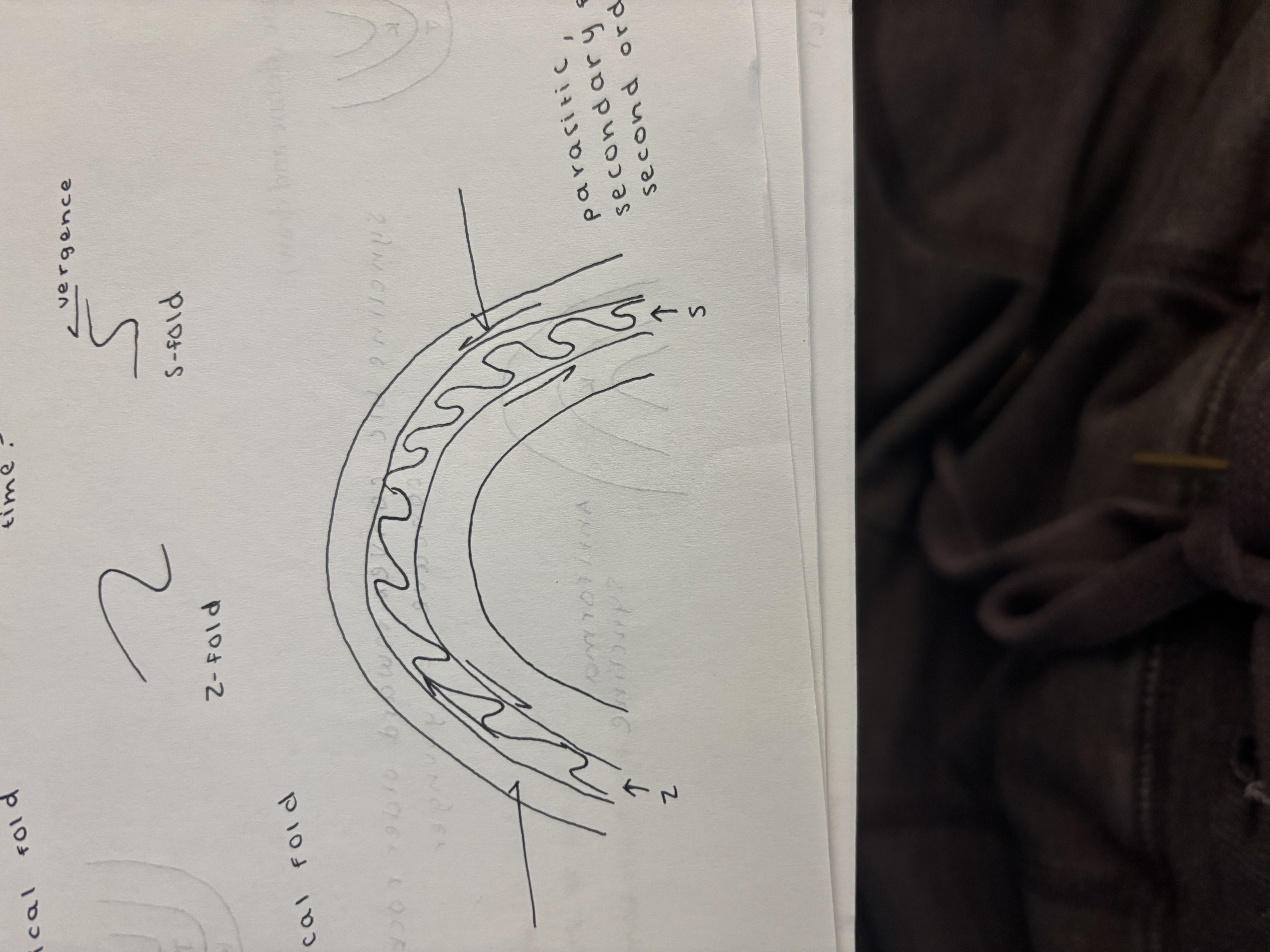 <p>Parasitic, second order folds</p>