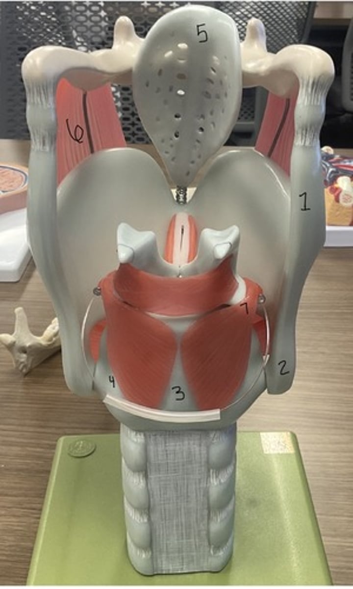 <p>What is structure 4?</p>