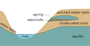 <p>Upper limit of saturation in the ground that can rise or fall with rainfall or drought; often shallower in wetlands and deeper in deserts.</p>