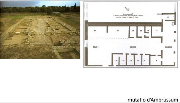 <p>Mutatio- Mutationes</p>