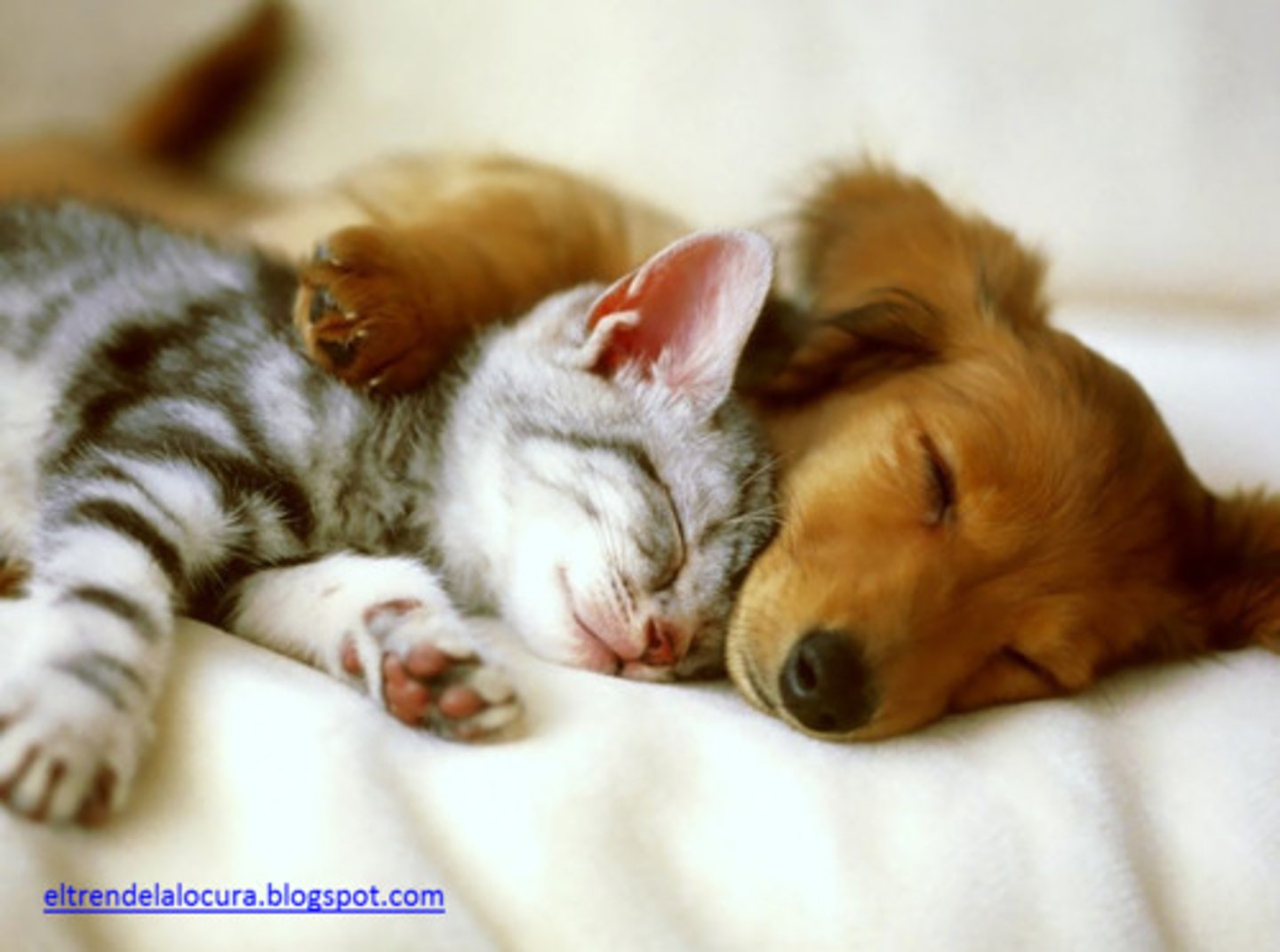 <p>to get along well</p>