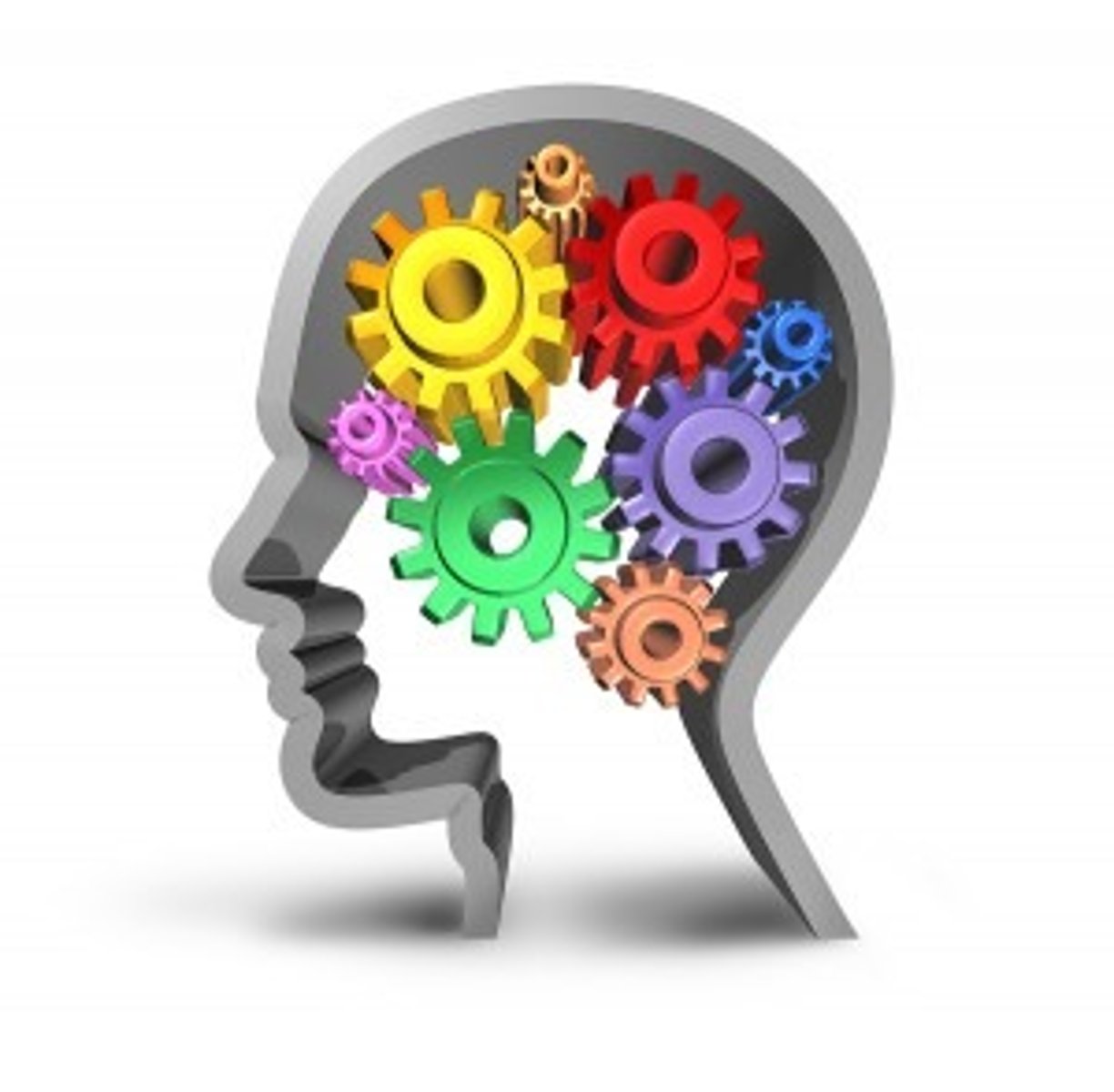 <p>(C) Cognitive Approach</p><p>Sarah is relying on logical thinking to explain her motivation. The Cognitive Approach focuses on rationality and decision-making abilities.</p>