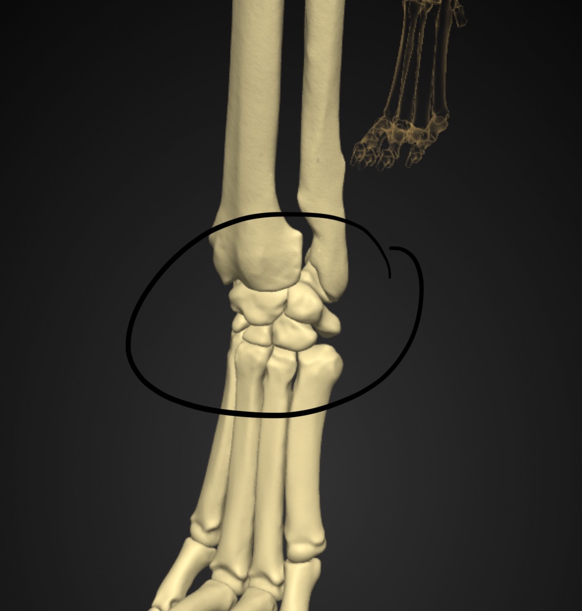 knowt flashcard image