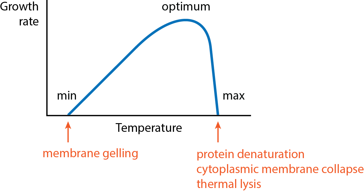 <p><span style="background-color: transparent; font-family: "DM Sans", sans-serif;"><span>the optima, the minimum, and the maximum (very for each organisms)</span></span></p>