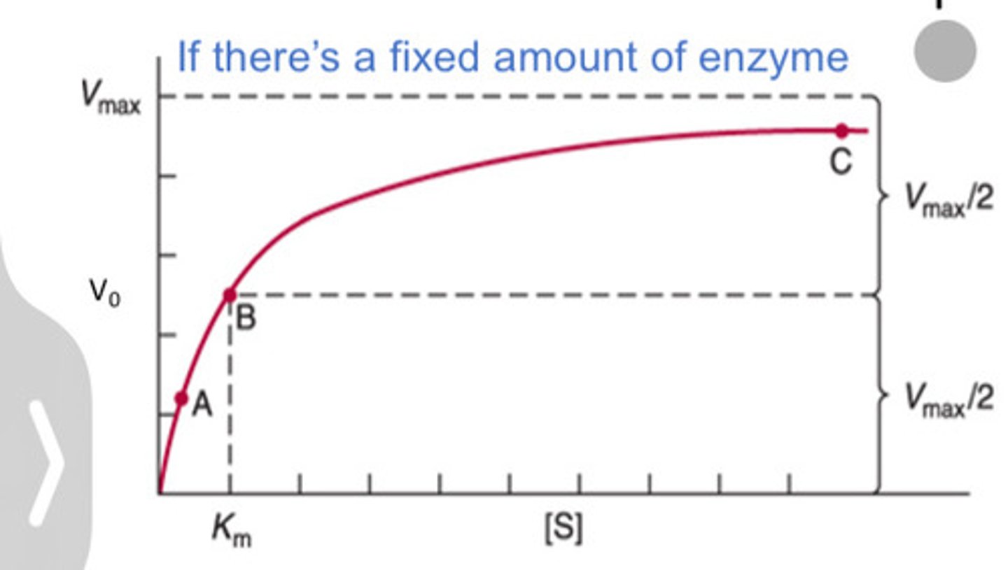 <p>hyperbolic</p>