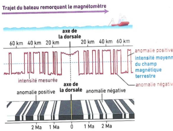 <p>Le paléomagnétisme (3 + 1) </p>