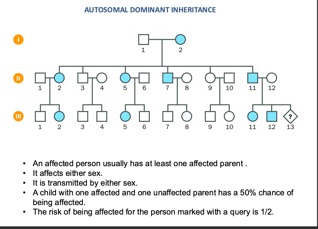 <p>NOT AFFECTED BY SEX (XX OR XY)</p><p>50% chance</p><p></p><p></p><ul><li><p><strong>an Affected person will usually have an affected parent</strong></p><p>TRANSMITS by either sex</p><p>AUTO SOMAL DOMINANT INHERITANCE</p></li></ul><p></p><p></p><p>Child one affected / one unaffected parent</p><p>-50% chance of being affected</p><p><strong>½ chance of being affected</strong> = risk of being affected = 50%</p><p></p>