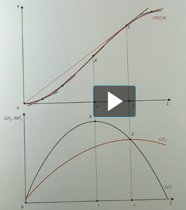 <p>hoe weet je dat de rode curve over de gemiddelde productie gaat en de zwarte over de marginale productie?</p>