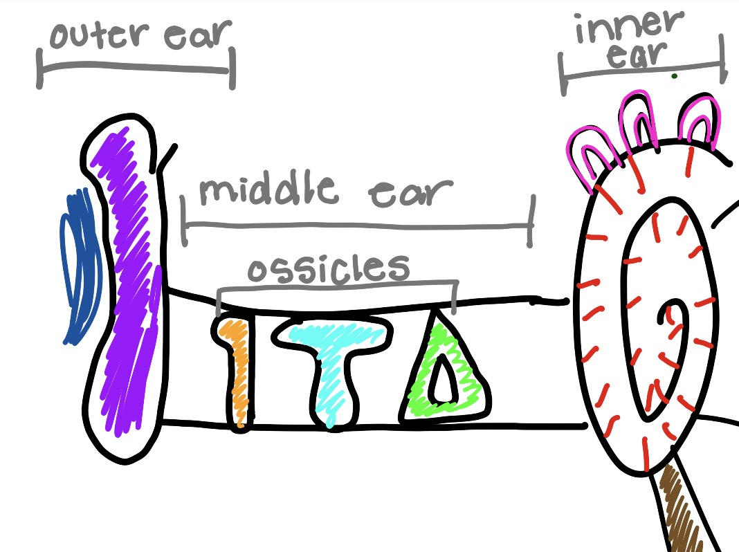 <p>what is the teal and what does it do</p>