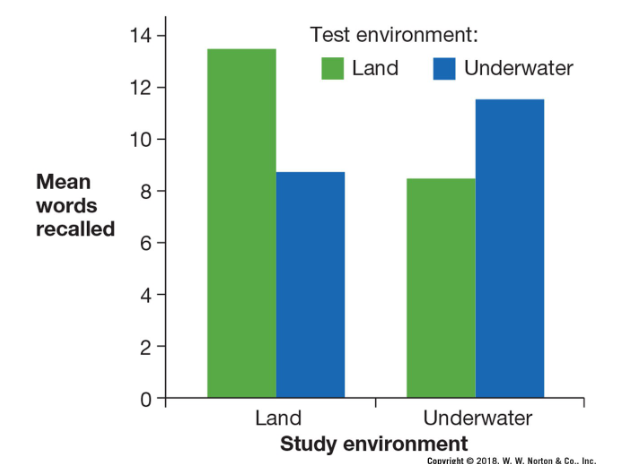 <p>/encoding specificity</p>