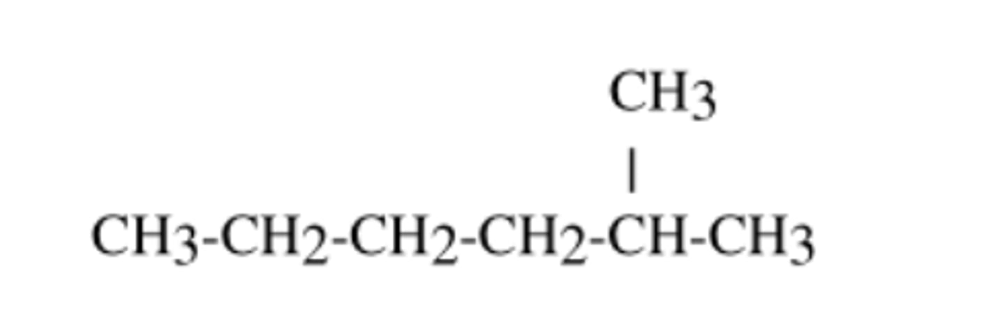 <p>2-methylhexane</p>