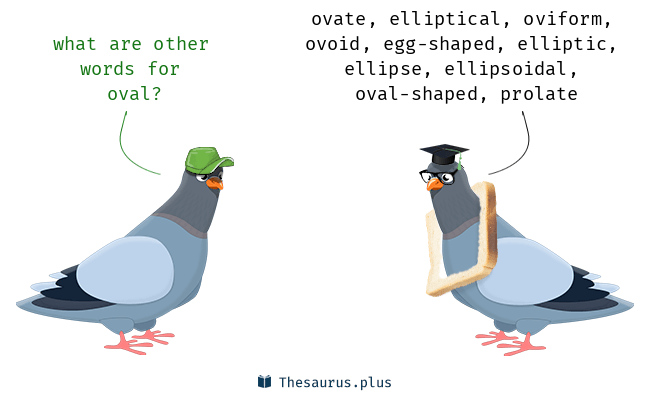 <p><span style="background-color: transparent;"><span>oval</span></span></p>