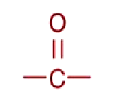 <ul><li><p>functional group</p></li><li><p>Source: pyruvate, citric acid cycle intermediates</p></li></ul><p></p>