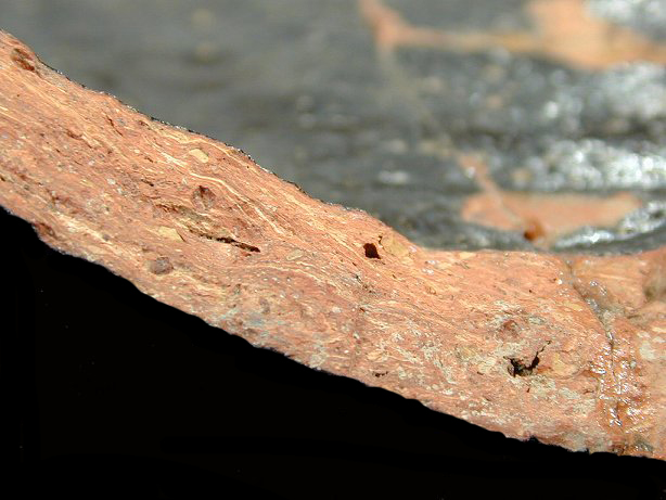 <p>What kind of earthenware paste does this image show?</p>