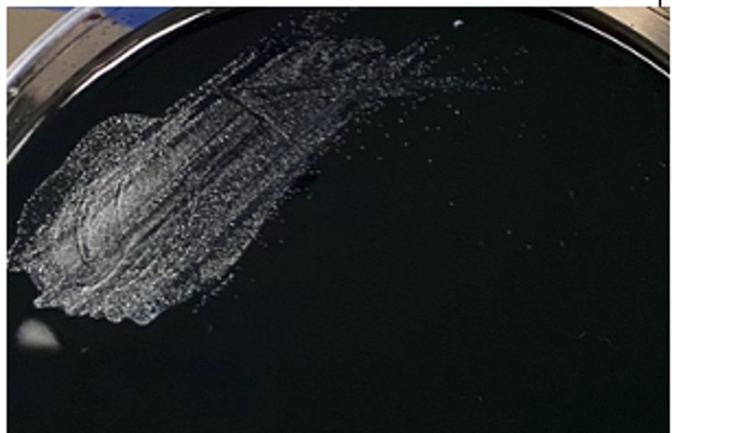 <p>Campylobacter is grown on a ____ agar</p>