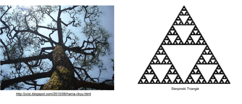 <p>Parts have the same form or structure as the whole. </p>