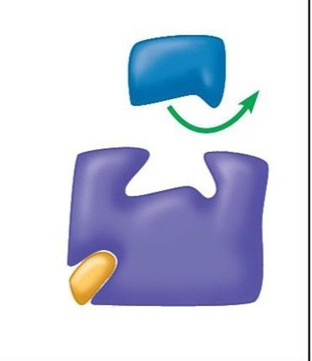 <p>A substance that reduces the activity of an enzyme by binding to a location remote from the active site, changing the enzymes shape so that it can no longer catalyze a chemical reaction</p>