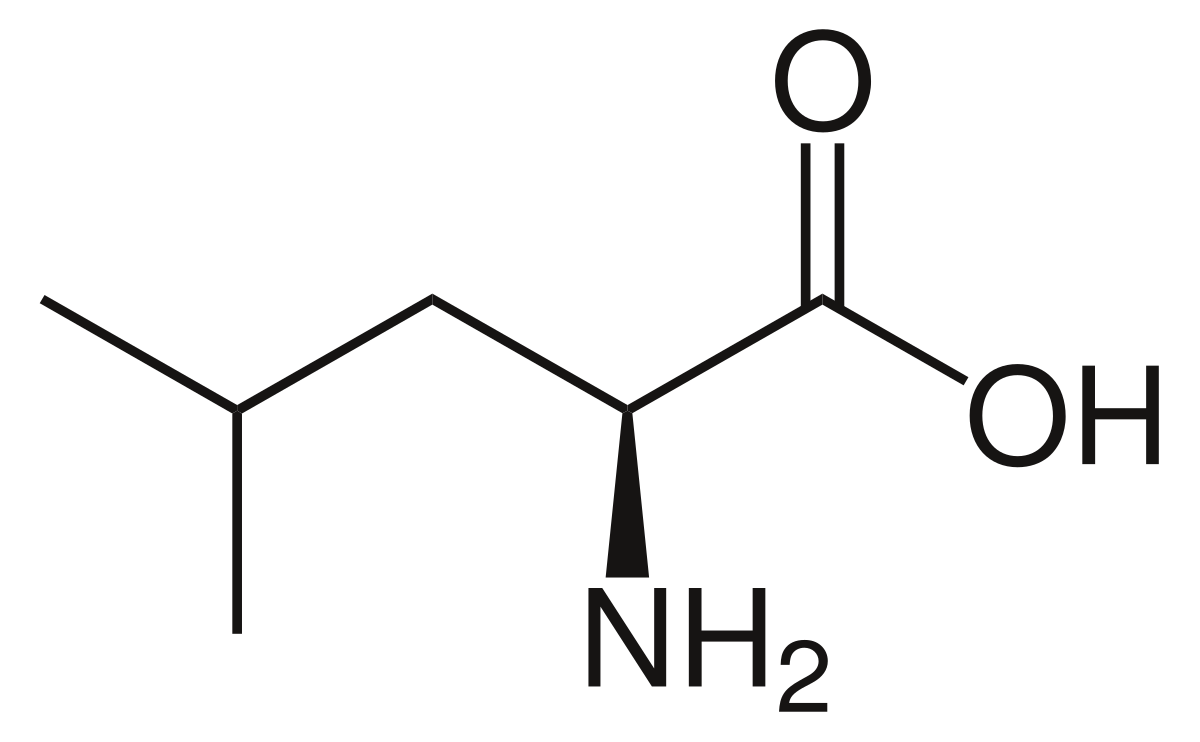 <ul><li><p>pKa1 (carboxylic acid group): 2.36</p></li><li><p>pKa2 (amino group): 9.60</p></li><li><p>pKaR (side chain, isobutyl): none</p></li></ul><p></p>