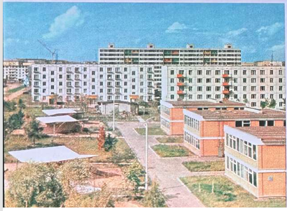 term image