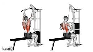 <ul><li><p>Latissimus Dorsi</p></li><li><p>Biceps Brachii</p></li></ul><p></p>