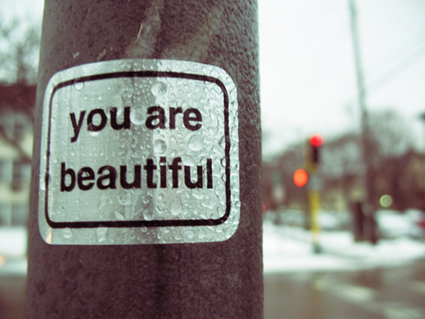 <p>you are</p>