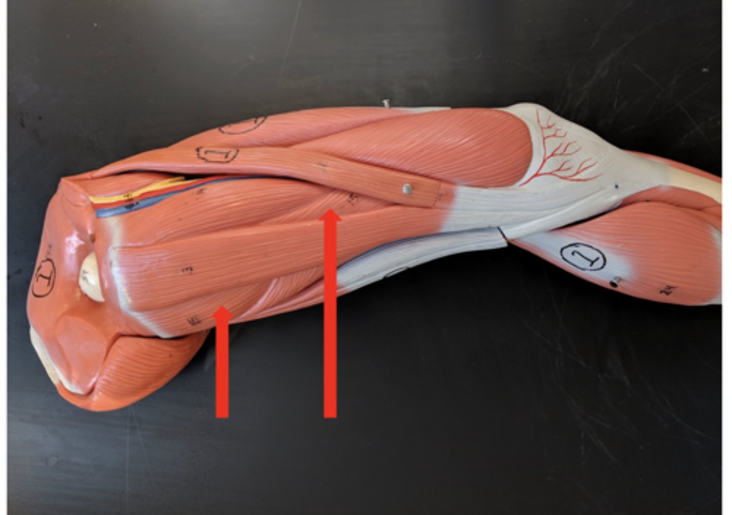 <p>what is this?</p>