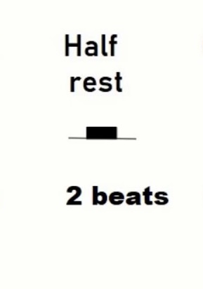 <p>Halve rest - 2 beats</p>