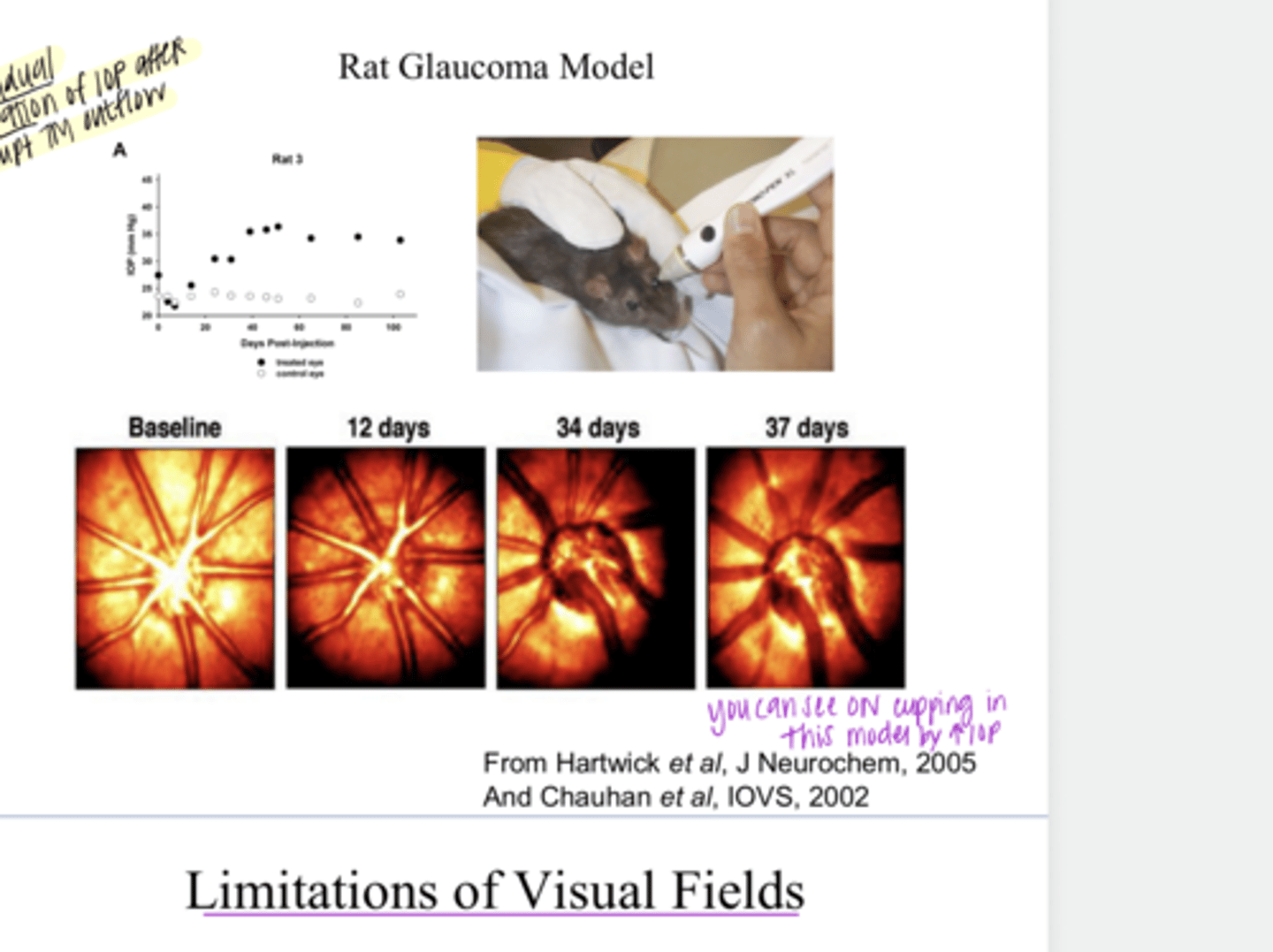 <p>Rat Glaucoma Model -- Disrupting TM outflow w/ Gradual Elevation of IOP (Pic)</p>