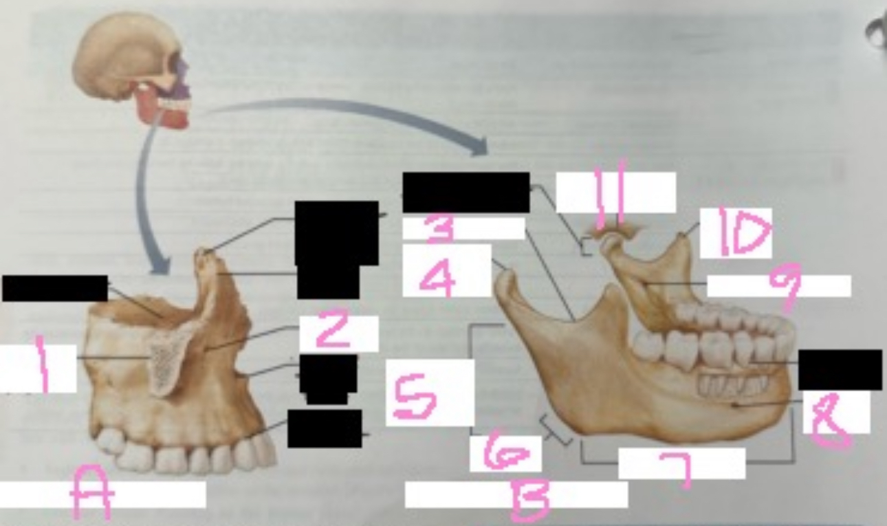 <p>what is 7</p>