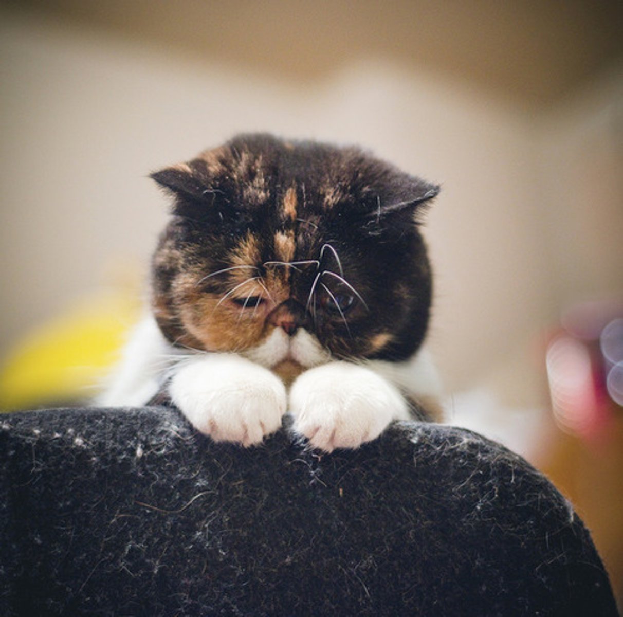 <p>hối tiếc (v) - đáng tiếc thay, (adv)</p>