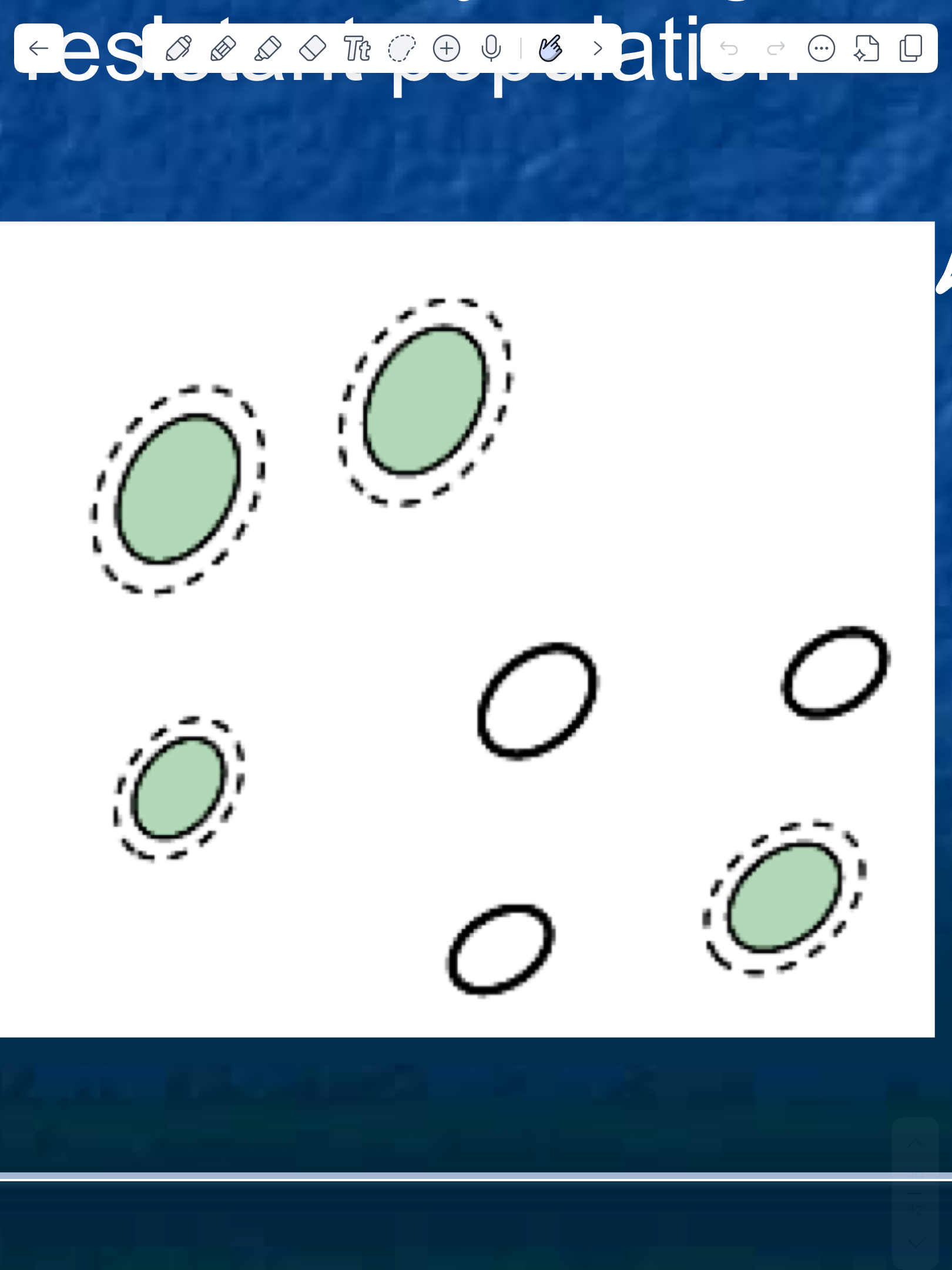 <p>name and describe this population model</p>