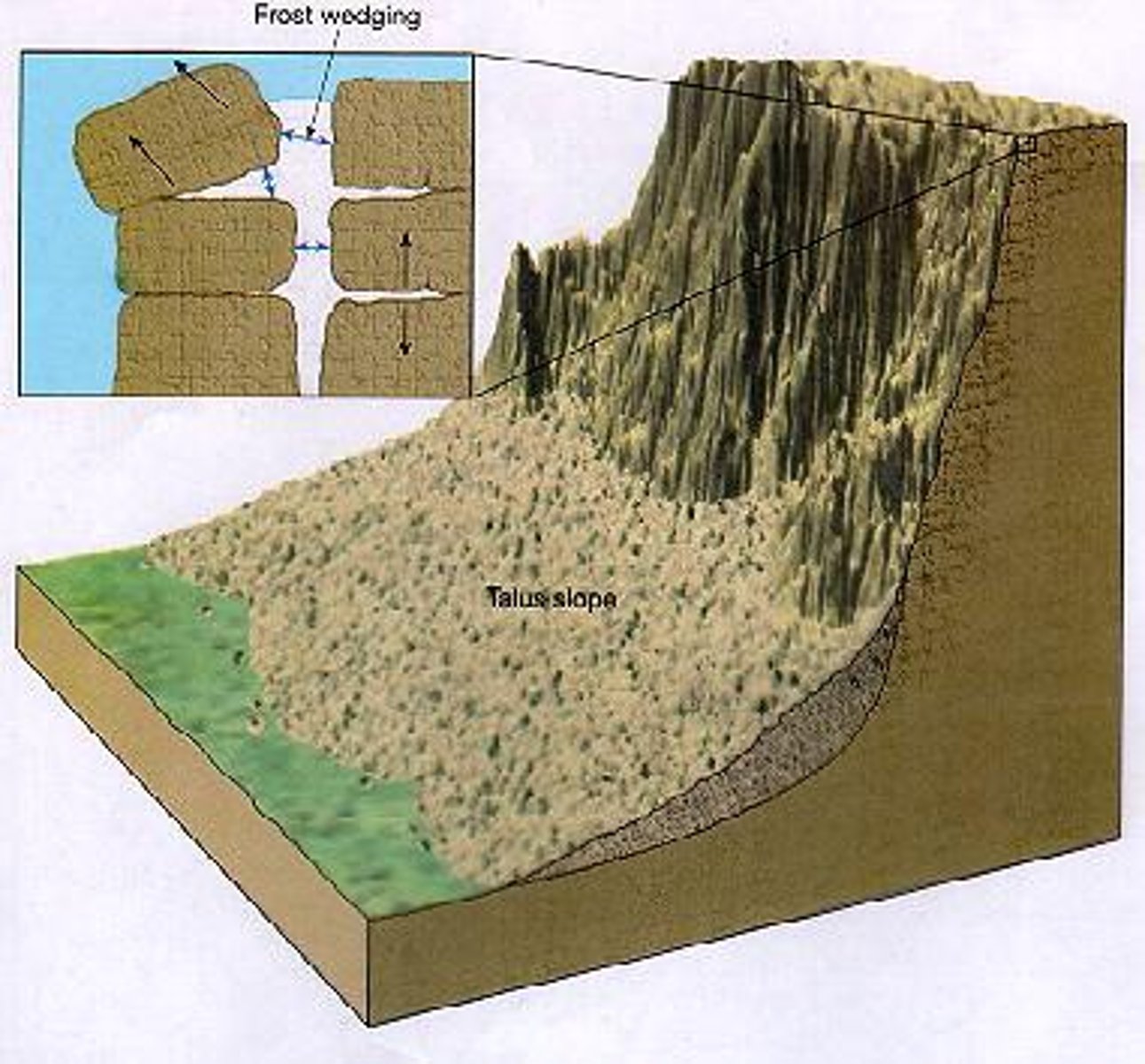 <p>type of weathering in which rock is physically broken down into smaller pieces</p>
