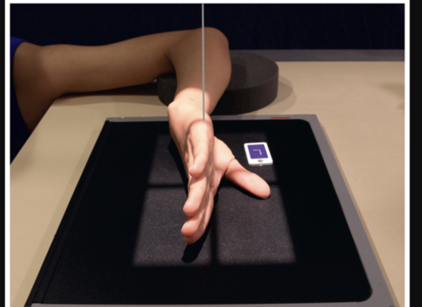 <p>Lateral hand with radial surface to IR</p>