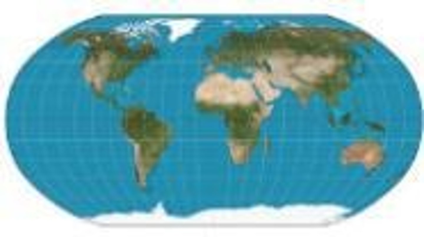 <p>A map projection where the shape and directions of countries are fairly accurate but greatly distorted toward poles.</p>