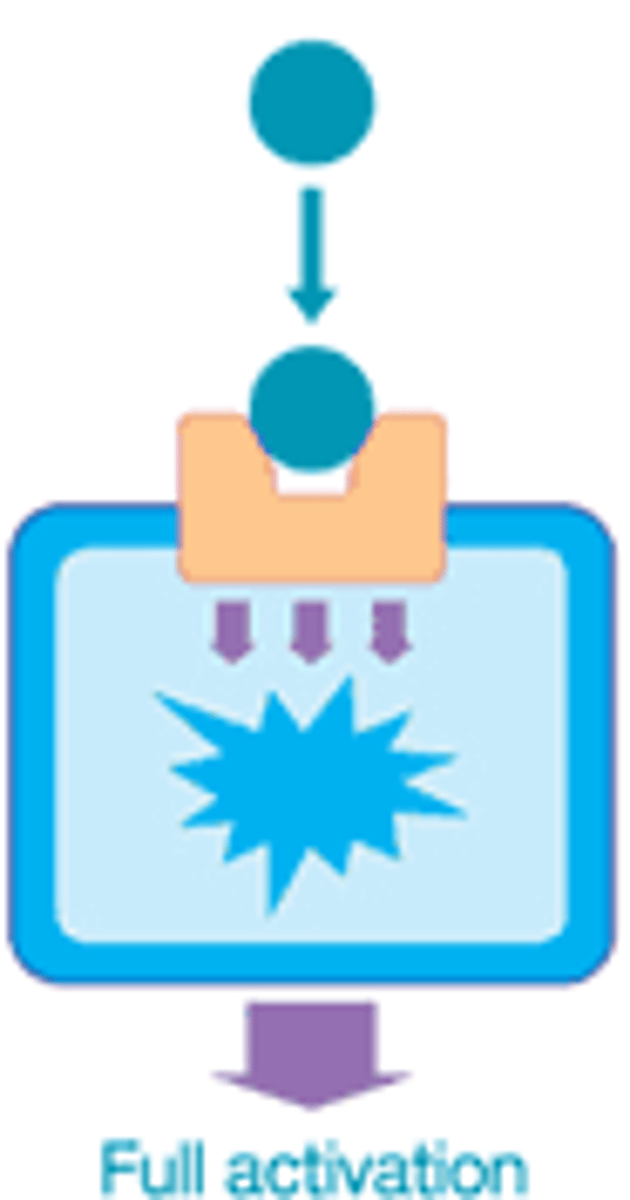 <p>A drug that increases or mimics the effect of a neurotransmitter.</p>