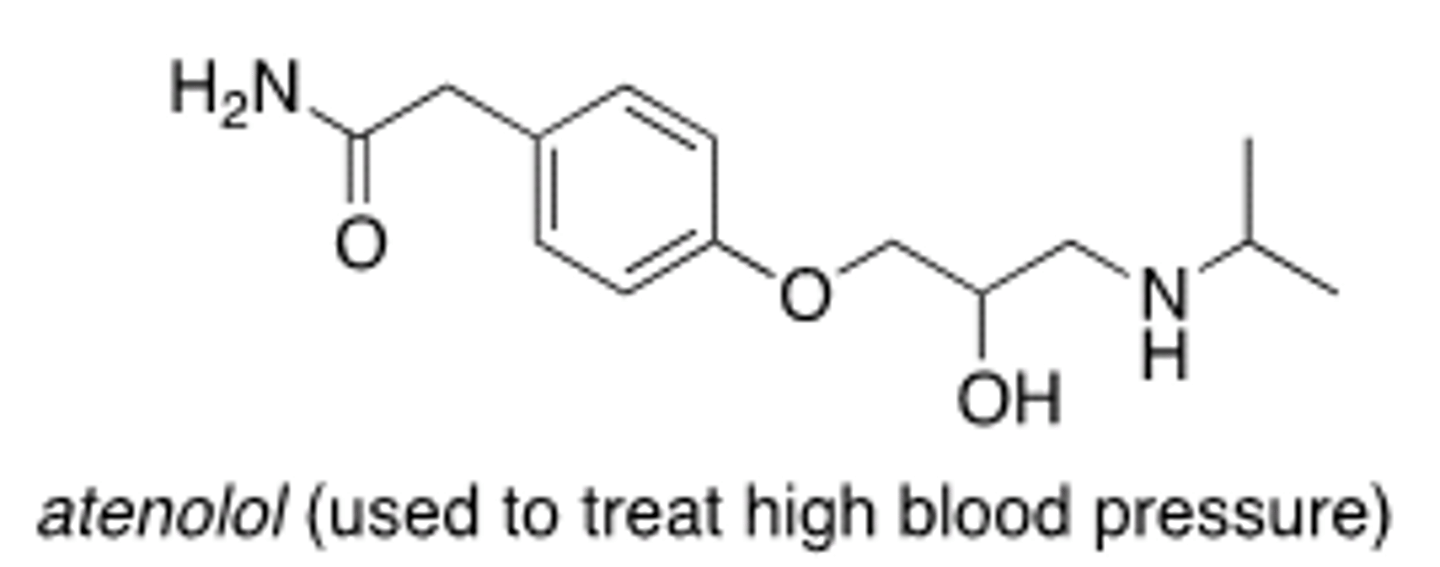 <p>B</p>