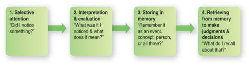 process of interpreting and understanding one's environment