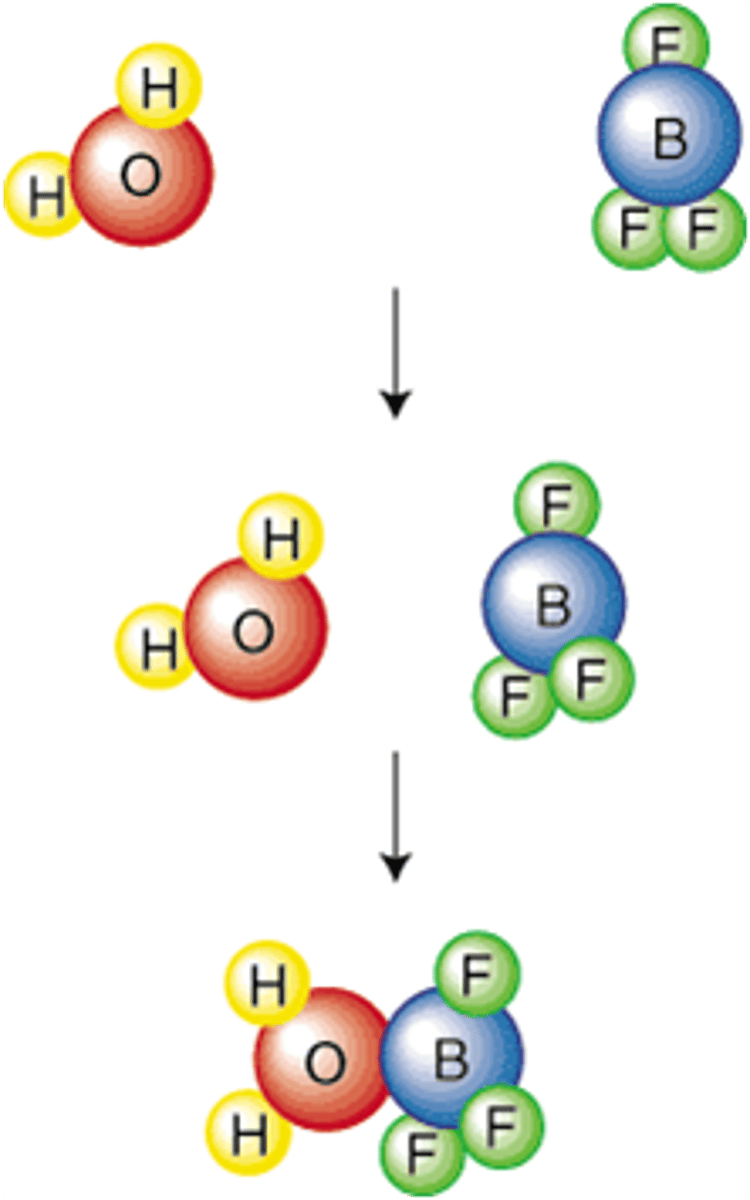 <p>states that atoms, ions, and molecules must collide with enough energy and right angle in order to react</p>