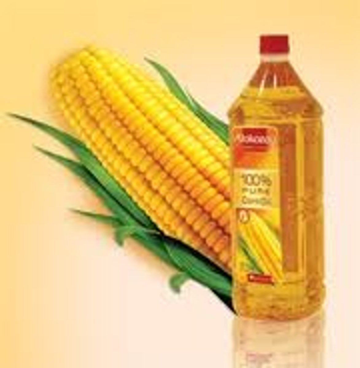 <p>corn oil</p>