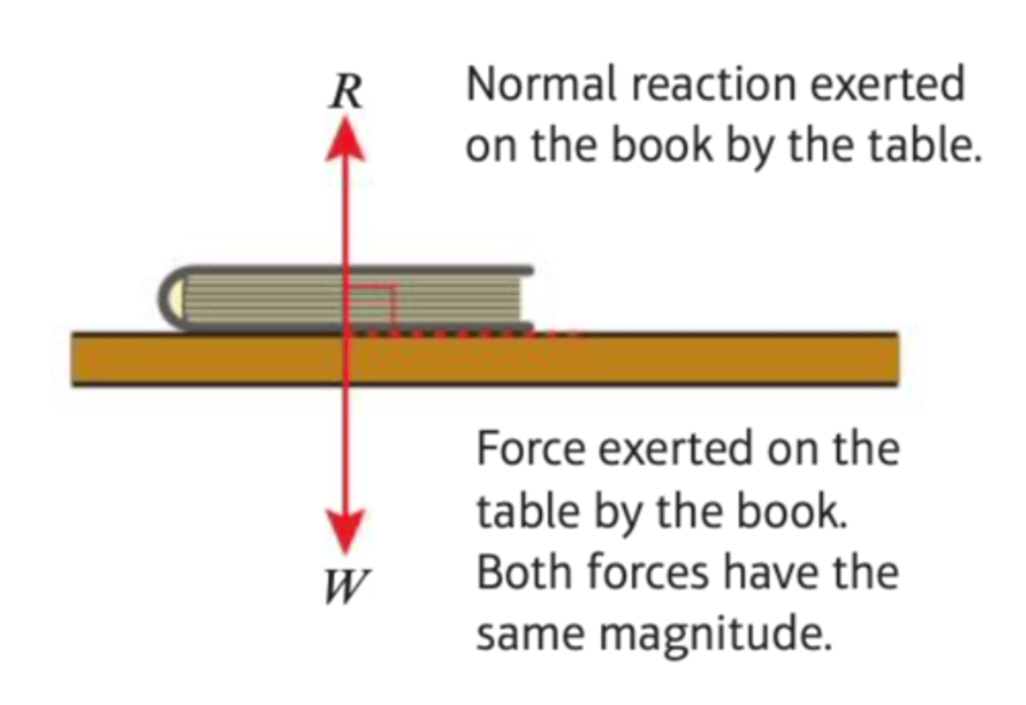 <p>Force which acts perpendicular to a surface when an object is in contact with the surface</p>