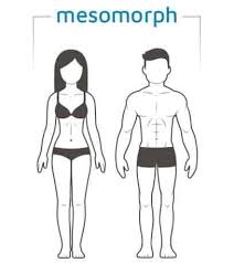 <ul><li><p>large bones</p></li><li><p>low fat levels</p></li><li><p>wide shoulders</p></li><li><p>narrow waist</p></li></ul><p></p>