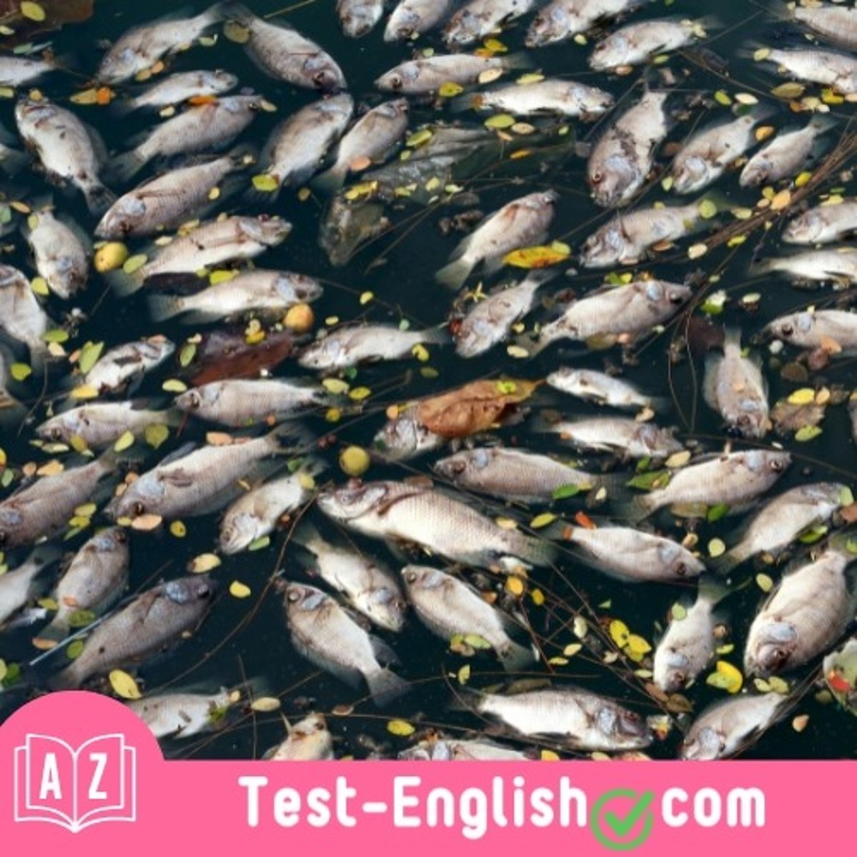 <p>Polluting the river can _____ the environment and the community.</p>